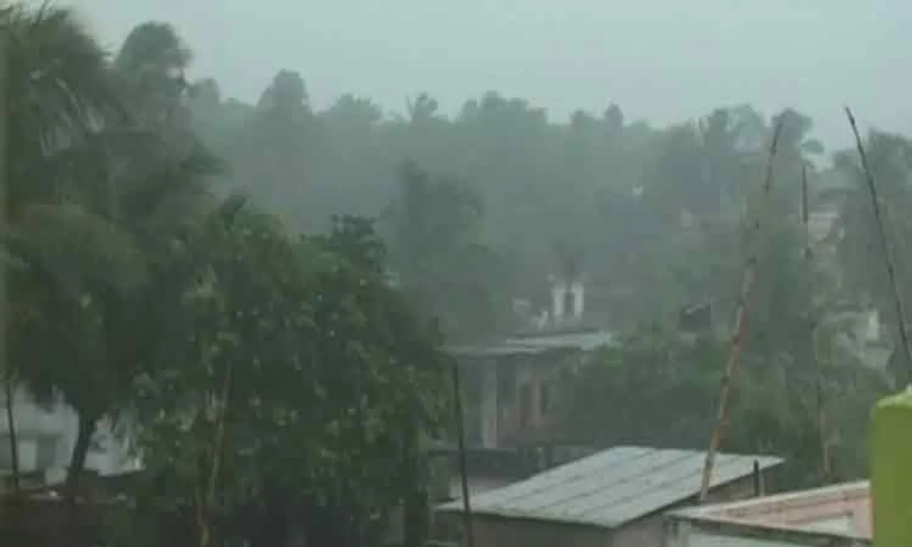 କମିଲା ତାତି