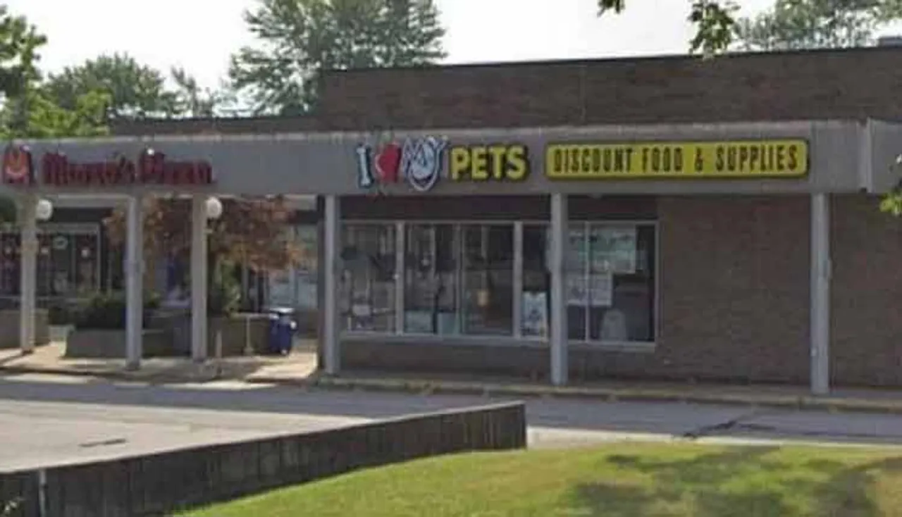 ପ୍ୟାଣ୍ଟରେ ଭର୍ତ୍ତି କରି ଚୋରି କଲେ ଅଜଗର, ଦେଖନ୍ତୁ ଭିଡିଓ