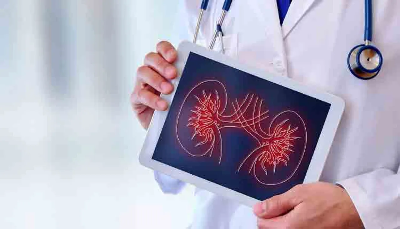 ପରିବର୍ତ୍ତନଶୀଳ ଜୀବନଶୈଳୀ ହିଁ କିଡ୍‌ନୀ ଷ୍ଟୋନ୍‌ର ମୁଖ୍ୟ କାରଣ