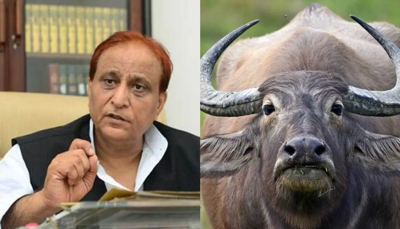 ସମାଜବାଦୀ ପାର୍ଟି ସାଂସଦ ଆଜମ ଖାନଙ୍କ ନାଁରେ ମଇଁଷି ଚୋରି ଅଭିଯୋଗ