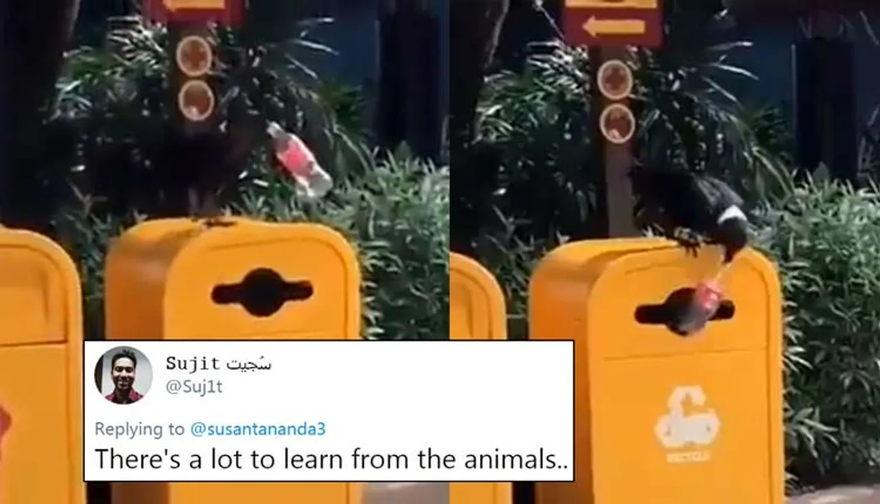 ସ୍ଵଚ୍ଛ ଭାରତ ଅଭିଯାନରେ ସାମିଲ୍‌ ହେଲା କାଉ!