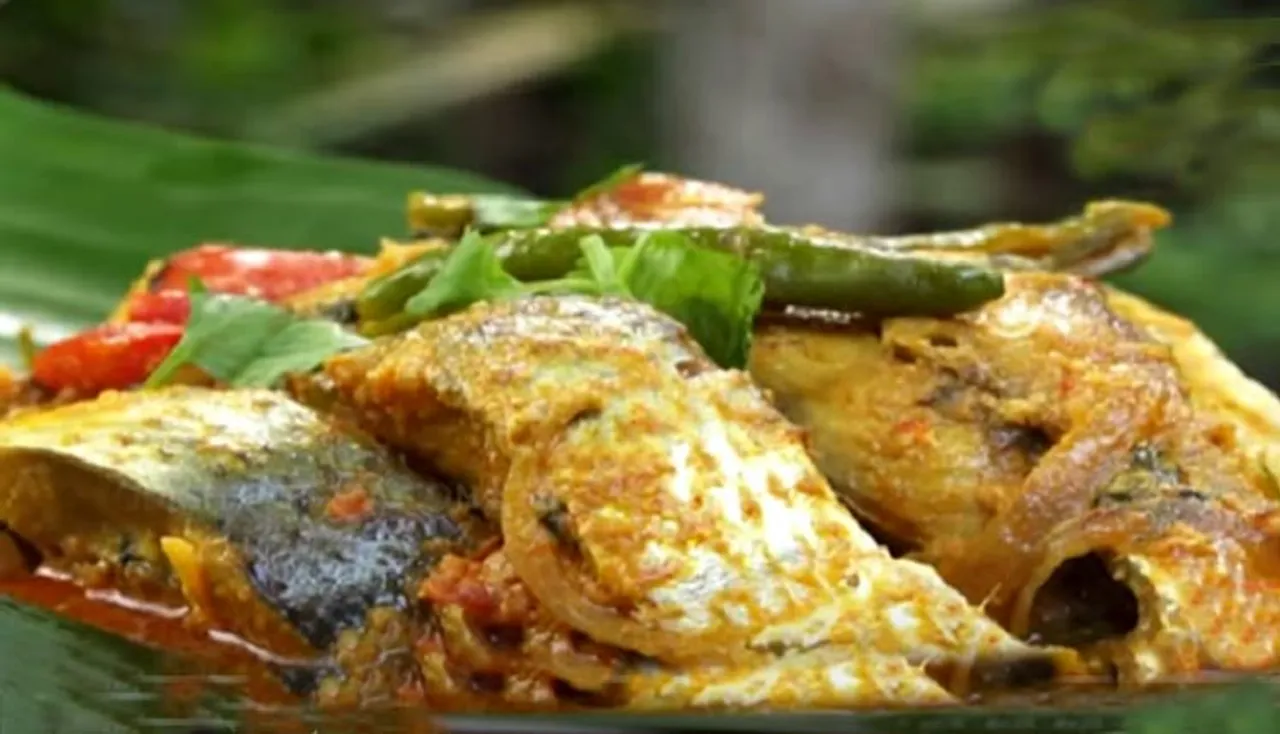 ଇଲିଶି ମାଛ ବାଟି ବସା