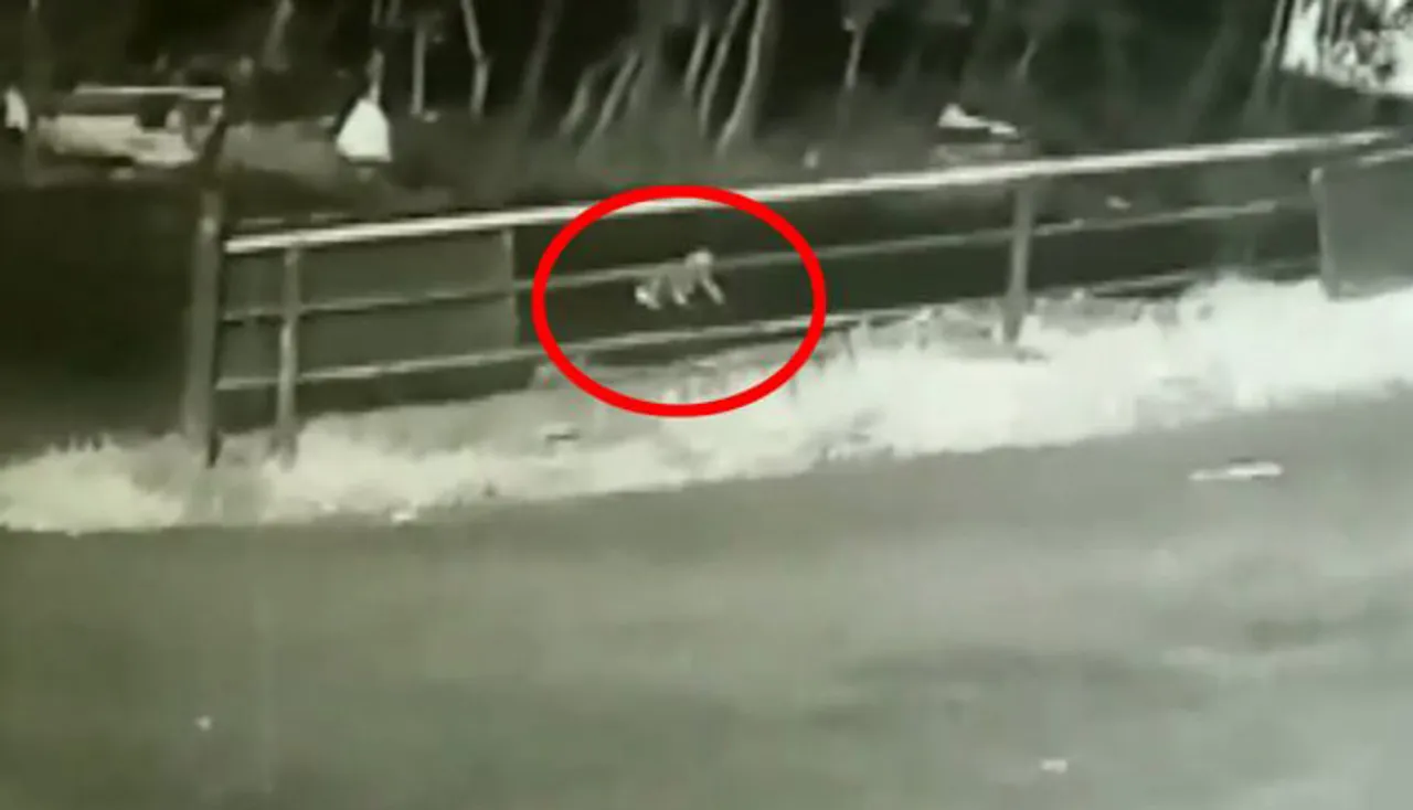 ଚଳନ୍ତା କାର୍‌ରୁ ଖସି ପଡ଼ିଲା ୧ ବର୍ଷର ଶିଶୁ, ଦେଖନ୍ତୁ ଭିଡିଓ