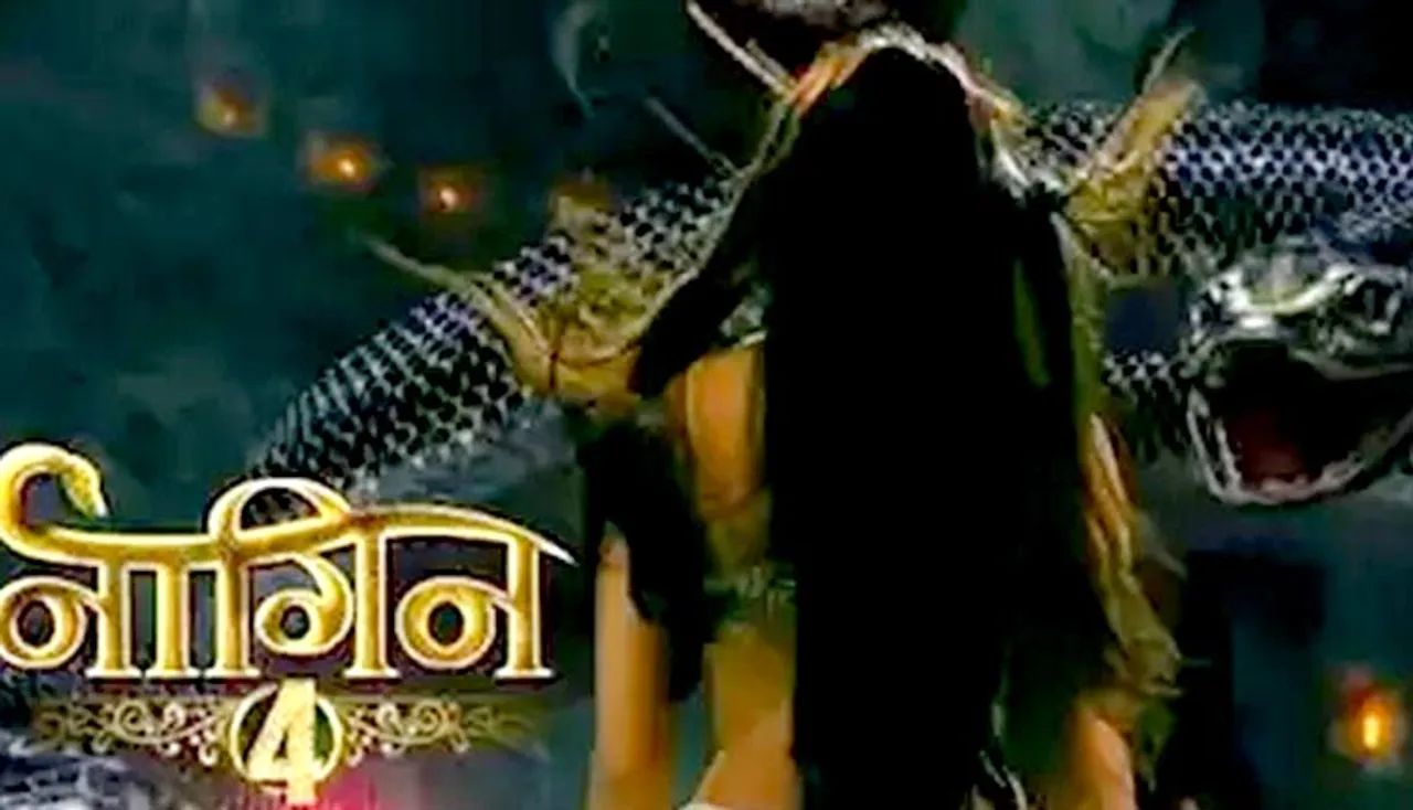 ଏକତାଙ୍କୁ ମିଳିଗଲେ ଦ୍ୱିତୀୟ ନାଗୁଣୀ