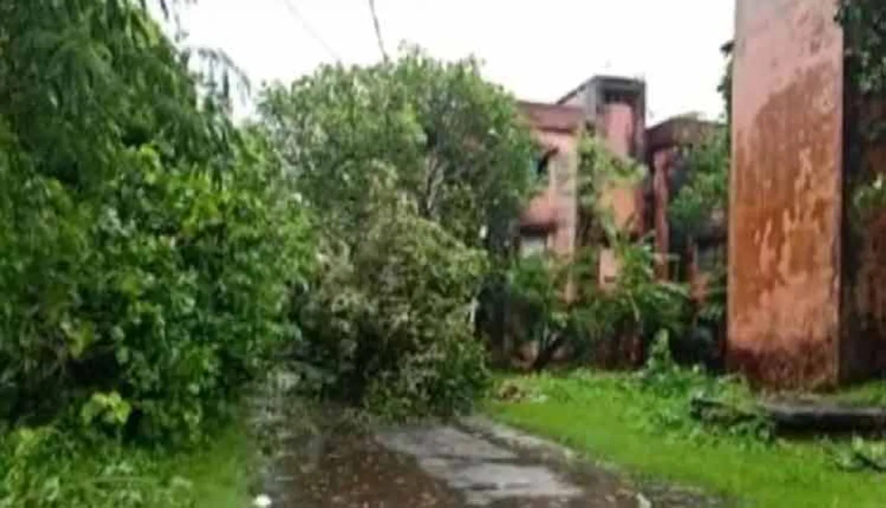 ‘ବୁଲ୍‌ବୁଲ୍‌’ ପ୍ରଭାବ: ୬ ଜିଲ୍ଲାରେ ପ୍ରବଳ ବର୍ଷିବ