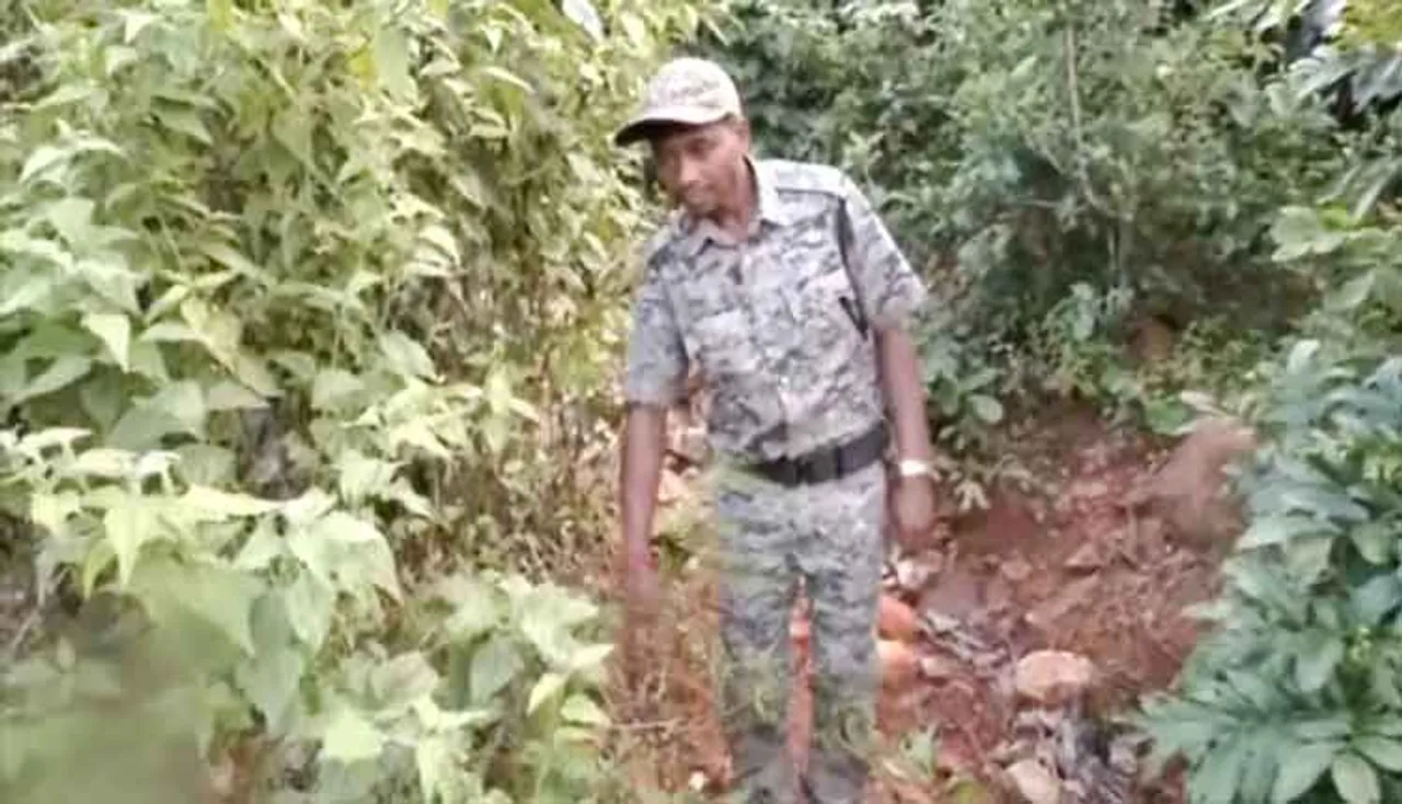 ନଗଡ଼ାରେ ସ୍ଥାନୀୟ ଲୋକଙ୍କୁ ନିଯୁକ୍ତି ଦେଲା ବନବିଭାଗ