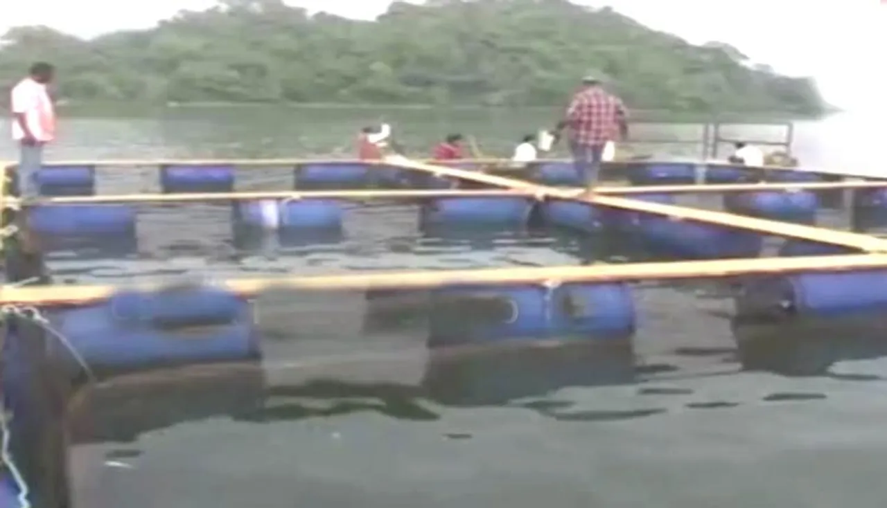 ପଞ୍ଜୁରୀରେ ମାଛଚାଷ