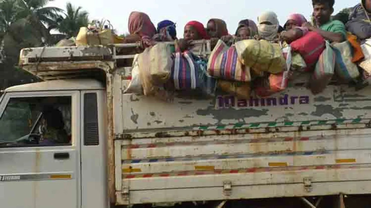 ନିୟମକୁ ଖୋଲାଖୋଲି ଉଲ୍ଲଂଘନ; ମାଲବୁହା ଗାଡ଼ିରେ ବୁହା ହେଉଛନ୍ତି ଶ୍ରମିକ