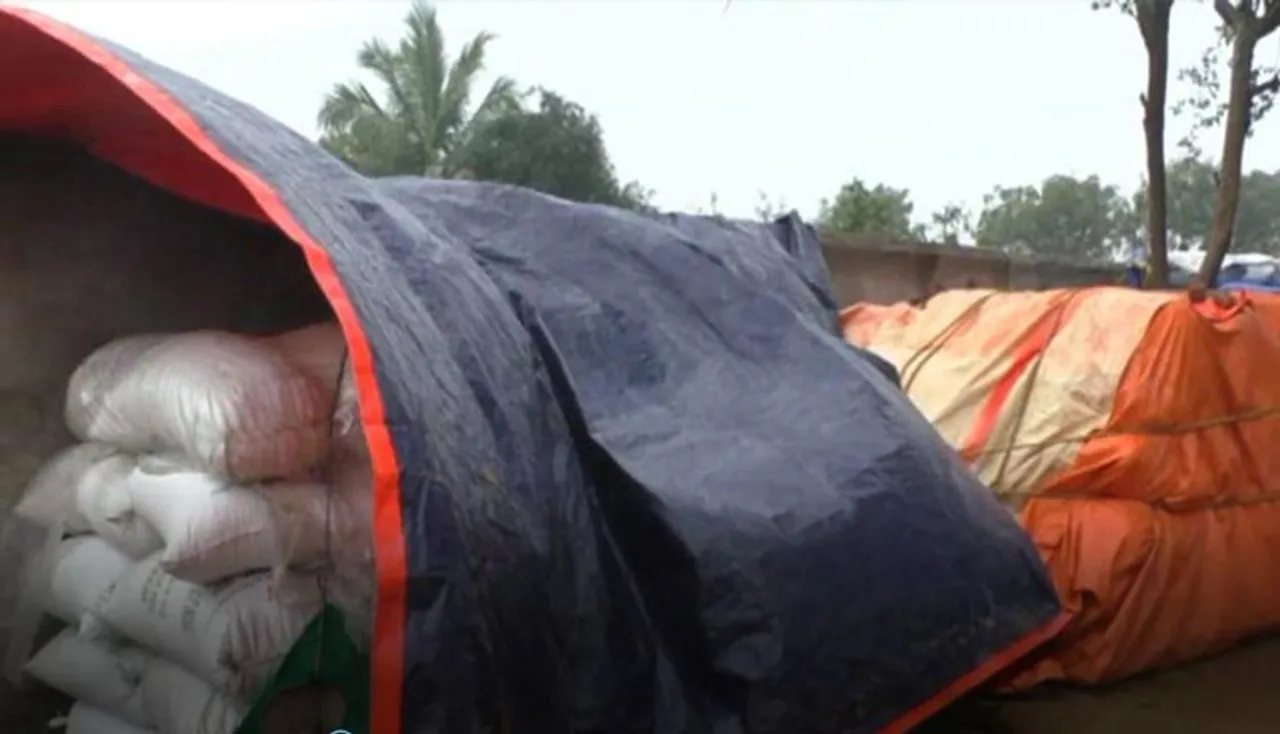 ଅଦିନିଆ ବର୍ଷା ଯୋଗୁଁ ମଣ୍ଡିରେ ଭିଜିଲା ୩ ହଜାର କ୍ୱିଣ୍ଟାଲ୍‌ ଧାନ