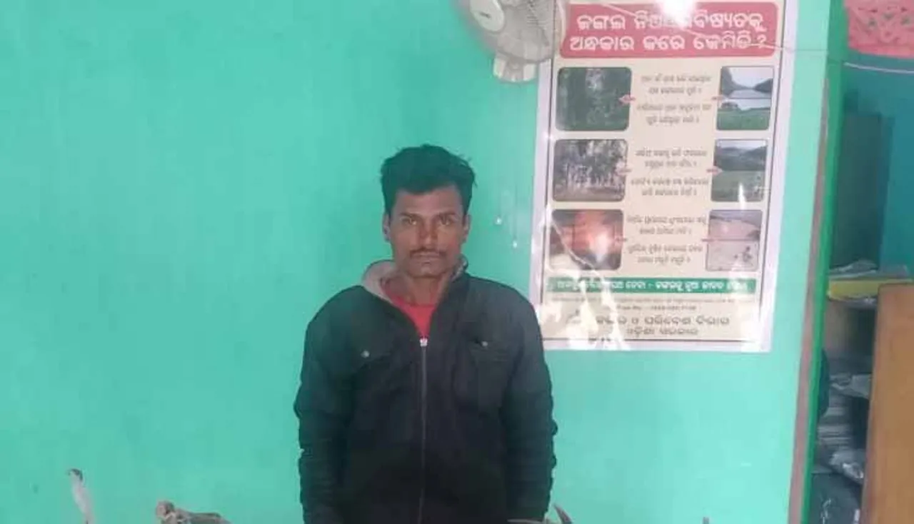 ୨୦ ହାତୀ ମାରିଥିବା ବାବୁଲି ଗିରଫ