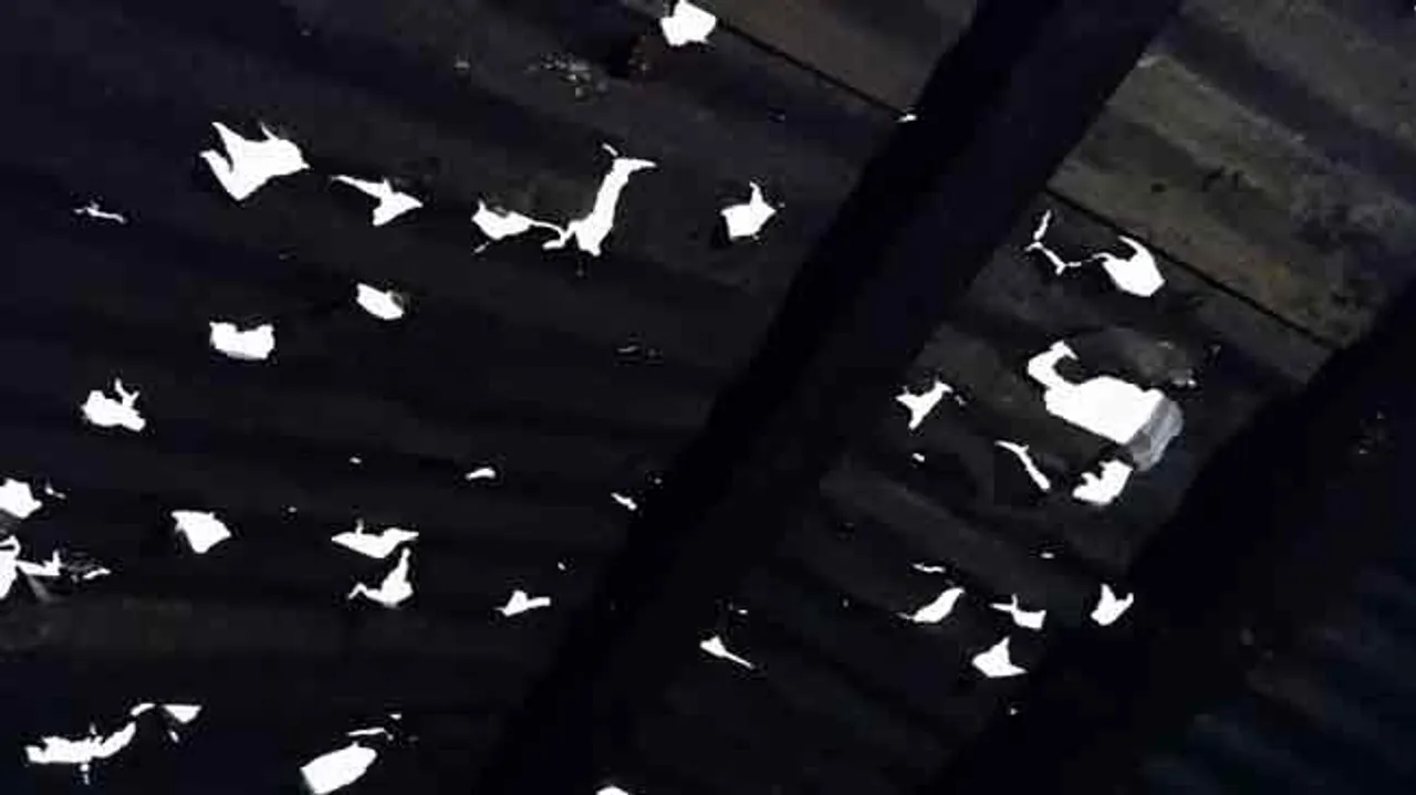 କୁଆପଥର ମାଡ଼ରେ ଭାଙ୍ଗିଲା ଆଜବେଷ୍ଟସ