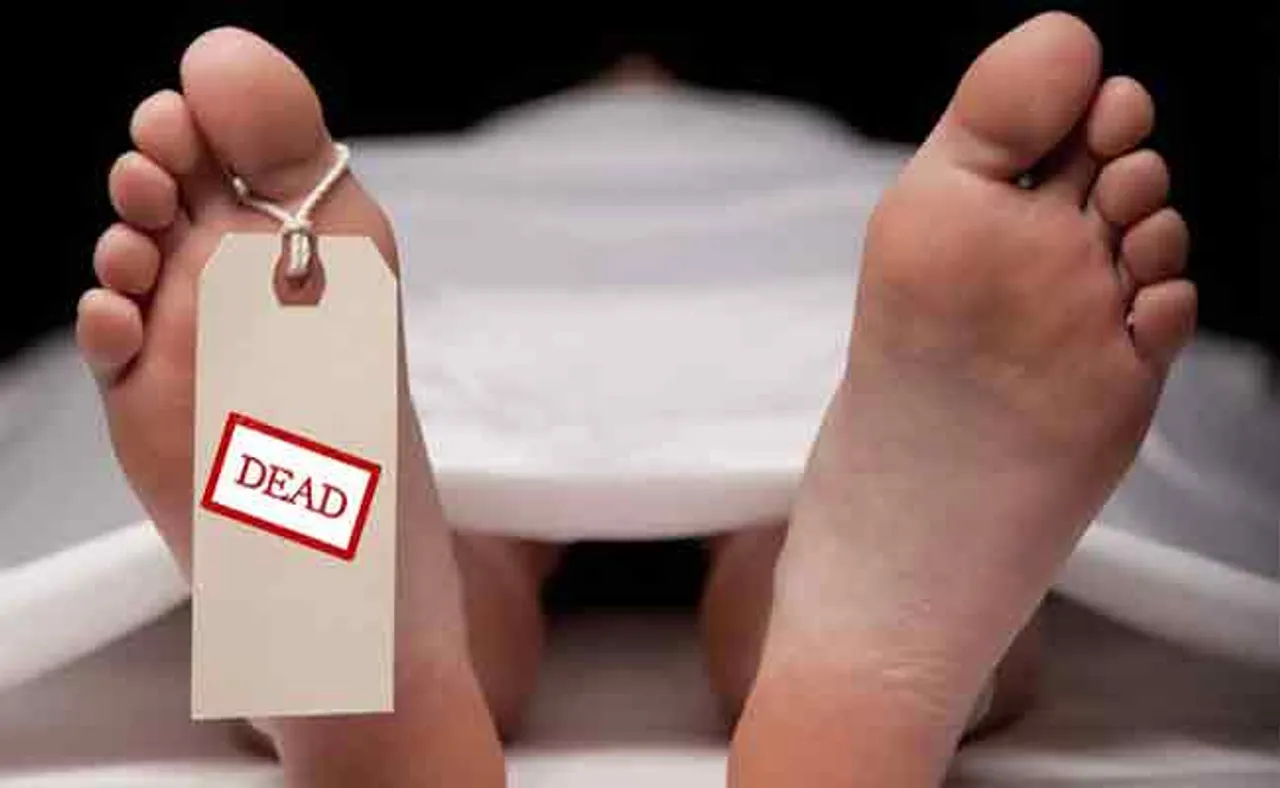 ଘରେ ପଶି ଦଳି ଦେଲା ହାତୀ