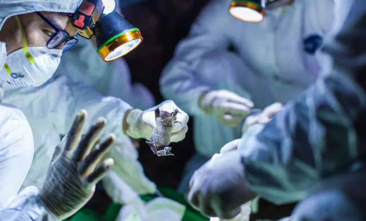 କରୋନା ଆକ୍ରାନ୍ତଙ୍କ ସଂଖ୍ୟା ୧୧୦ ଛୁଇଁଲା