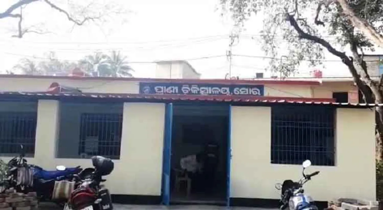 ସୋରରେ ବାର୍ଡଫ୍ଲୁ ଆତଙ୍କ; ଚିକେନ୍‌ କିଲୋ ୫୦ ଟଙ୍କାକୁ ଖସିଲା