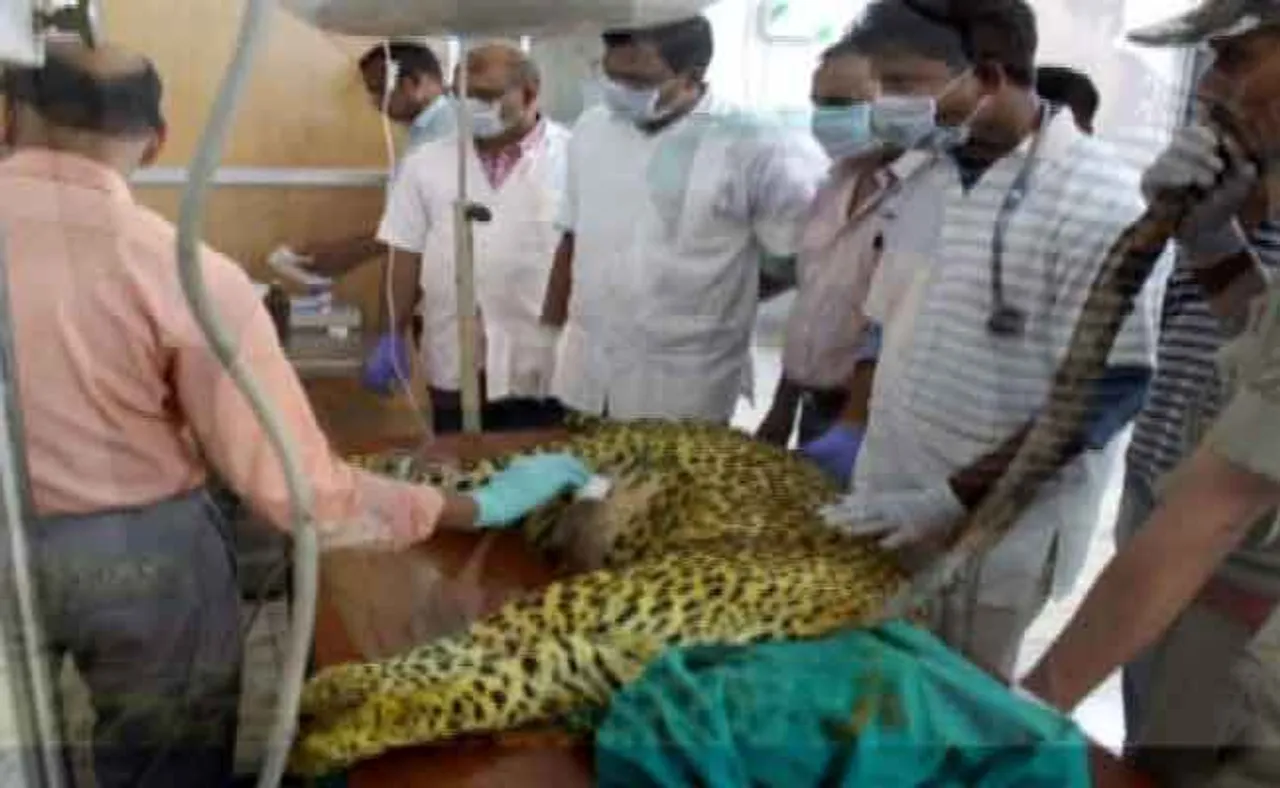 ନନ୍ଦନକାନନରେ ଆଖି ବୁଜିଲା ସୂରଜ