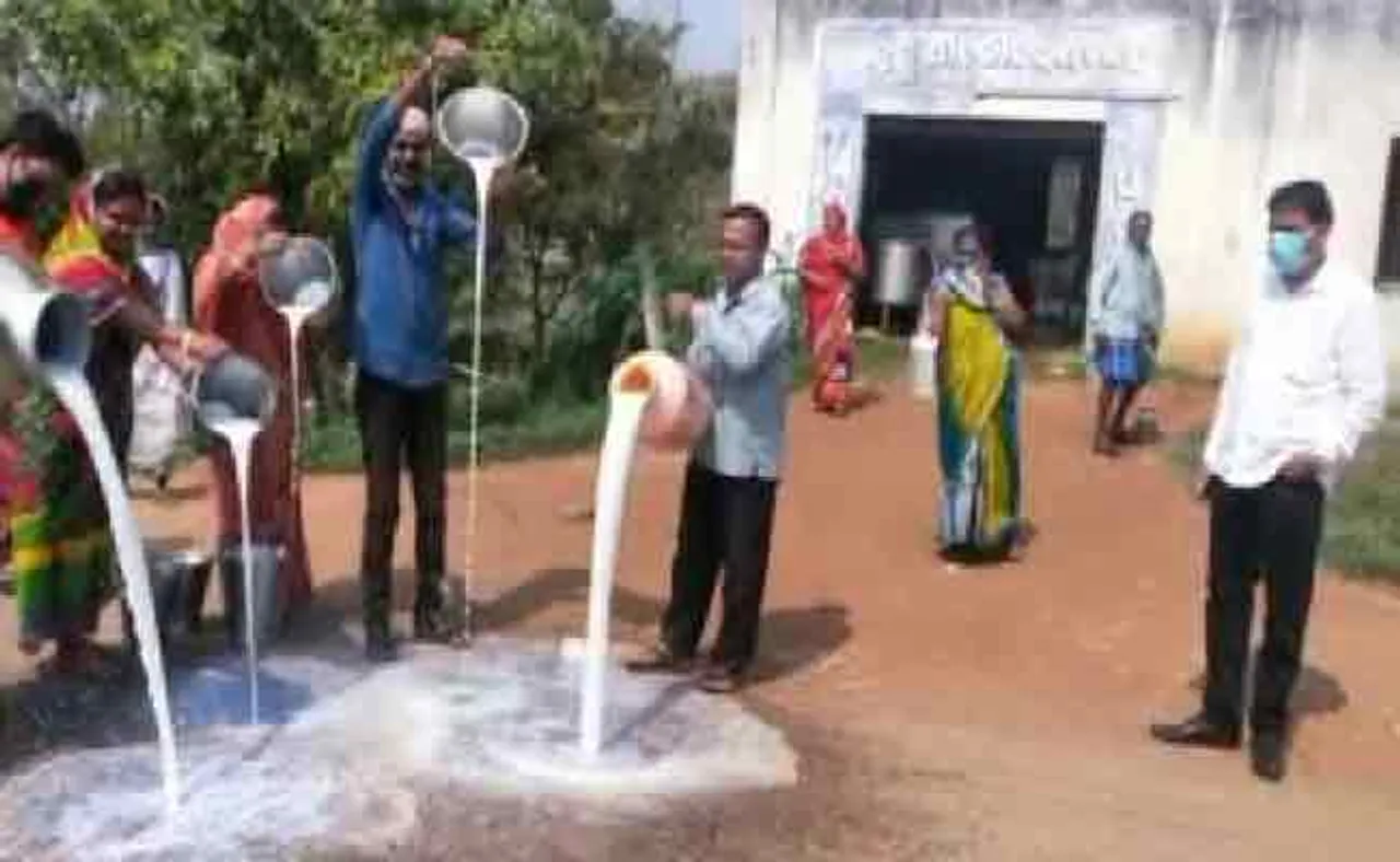 ଓମ୍‌ଫେଡ୍‌ ନେଲାନି, ବିଧାୟକଙ୍କୁ ଡାକି ତାଙ୍କ ଆଗରେ କ୍ଷୀର ଢାଳିଲେ ଚାଷୀ