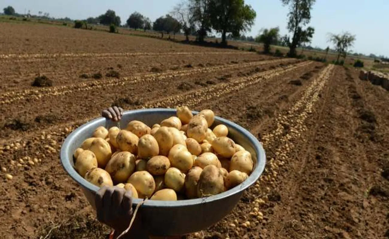 ବିନା ଲାଇସେନ୍ସରେ ବିଦେଶୀ ବଜାରରେ ଚାଷୀ ବିକ୍ରି କରିପାରିବେ ଶସ୍ୟ