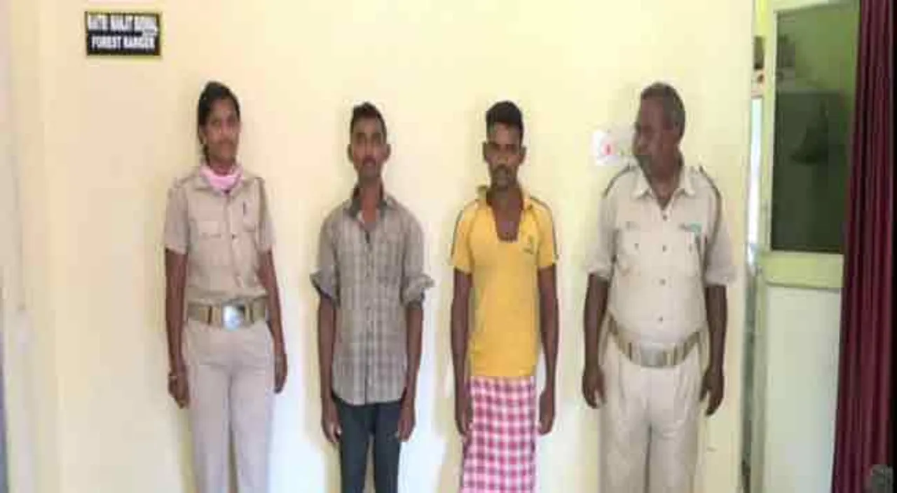 ବାର୍‌ହା ମାଂସ ରୋଷେଇ କରି ଖାଇବା ଅଭିଯୋଗରେ ୨ ଗିରଫ