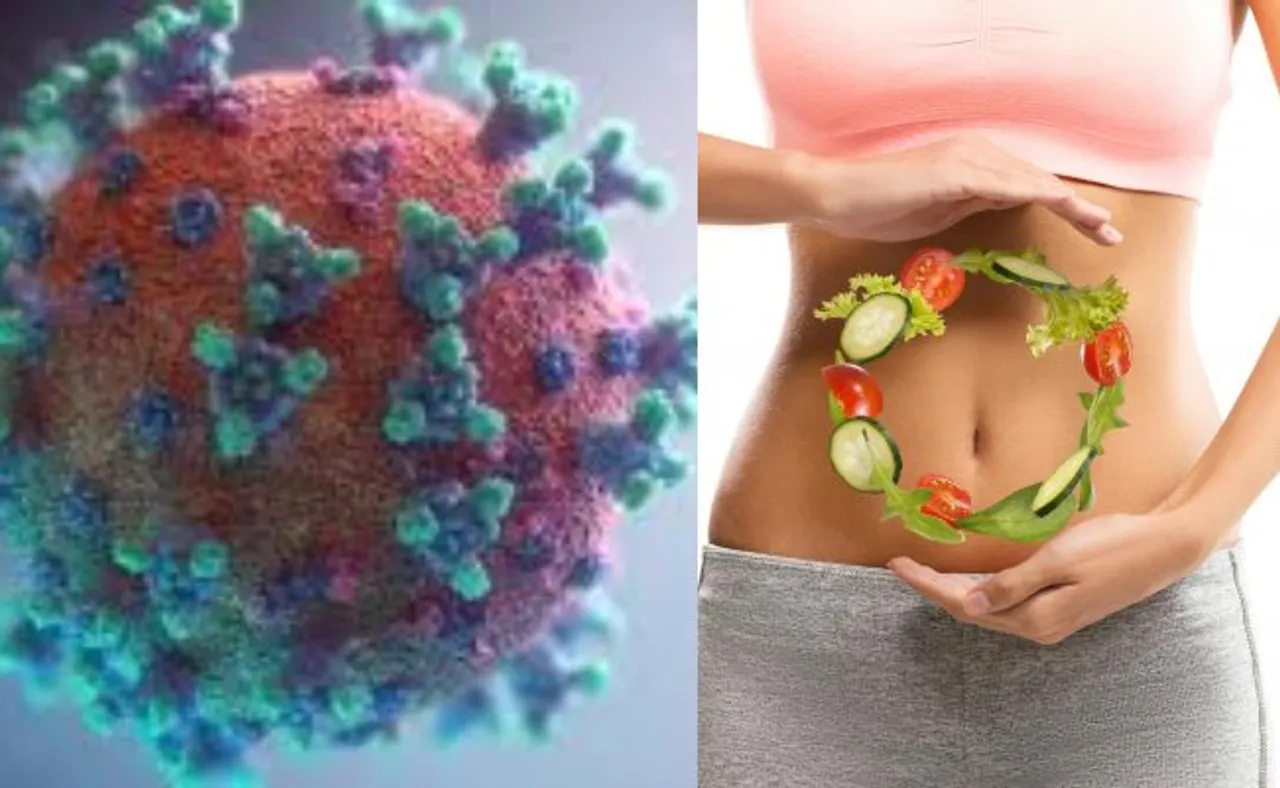 କରୋନା ଲଢ଼େଇରେ ପେଟର ରହିଛି ମୁଖ୍ୟ ଭୂମିକା