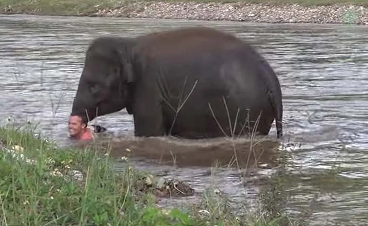 ତୁମେ ସିନା ବିଶ୍ୱାସଘାତକ, କିନ୍ତୁ ମୁଁ ନୁହେଁ....