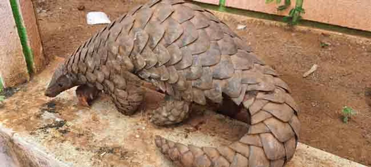 କୂଅ ଭିତରୁ ବଜ୍ରକାପ୍ତା ଉଦ୍ଧାର