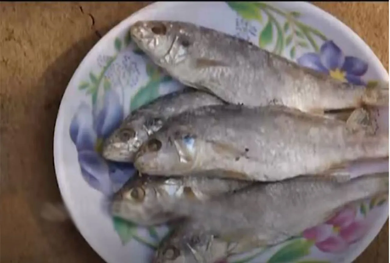 ମାଟି ହାଣ୍ଡି ଶୁଖୁଆ