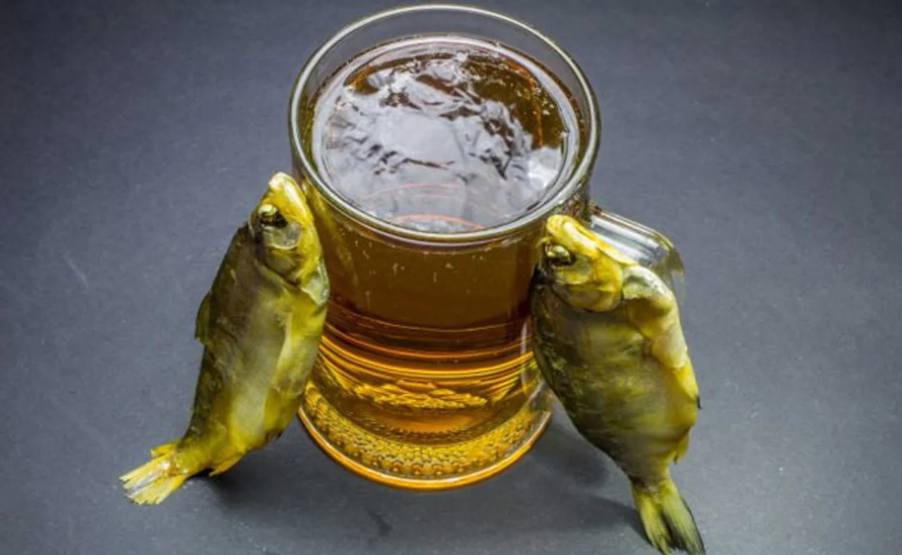 ମାଛ ପିଉଛି ଥଣ୍ଡା ବିୟର...