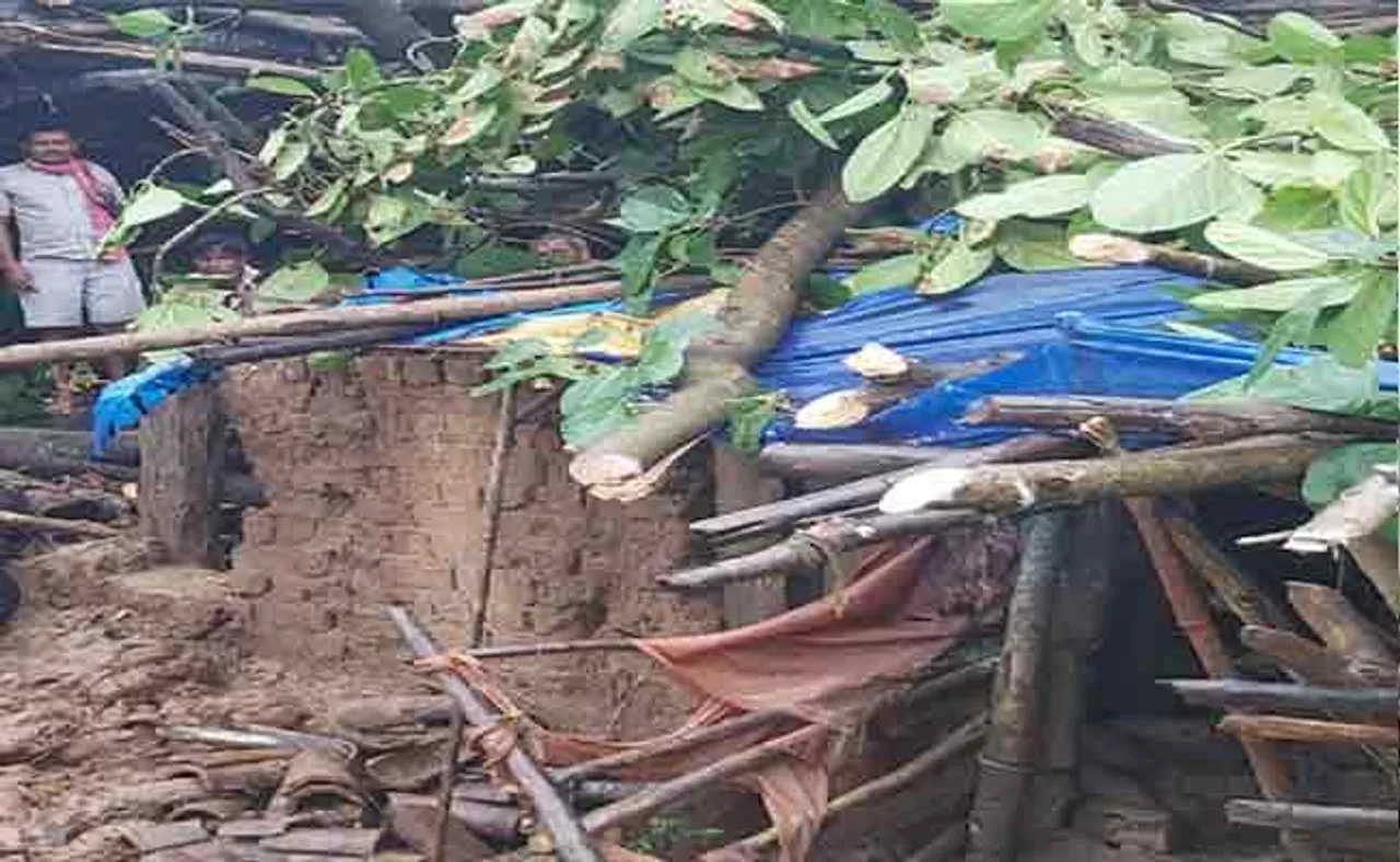 ଘର ଉପରେ ପଡ଼ିଲା ଗଛ