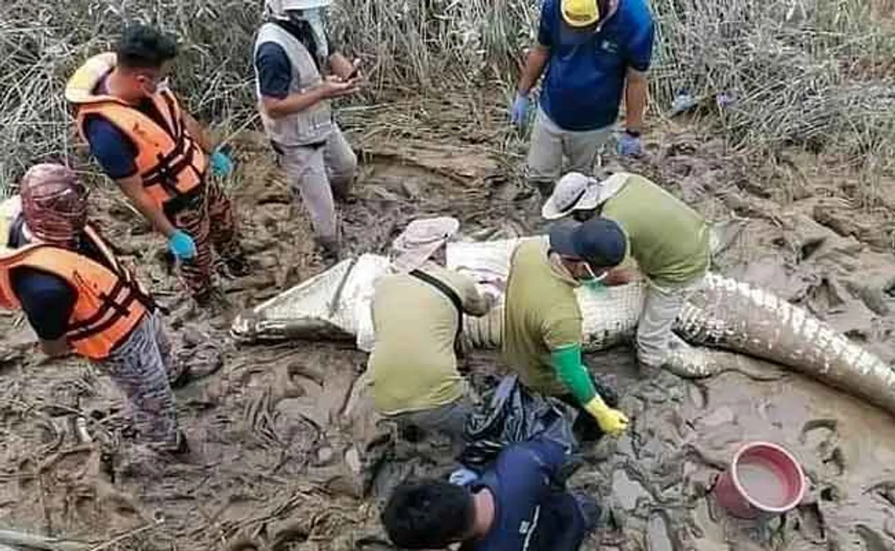 କୁମ୍ଭୀର ପେଟରୁ ବାହାରିଲା ୧୪ ବର୍ଷୀୟ ବାଳକର ହାଡ଼ କଙ୍କାଳ