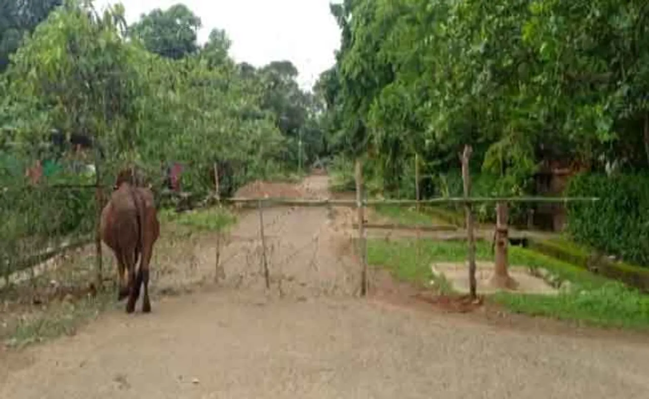 ନବରଙ୍ଗପୁର ଜିଲ୍ଲା ଶଟଡାଉନ୍‌