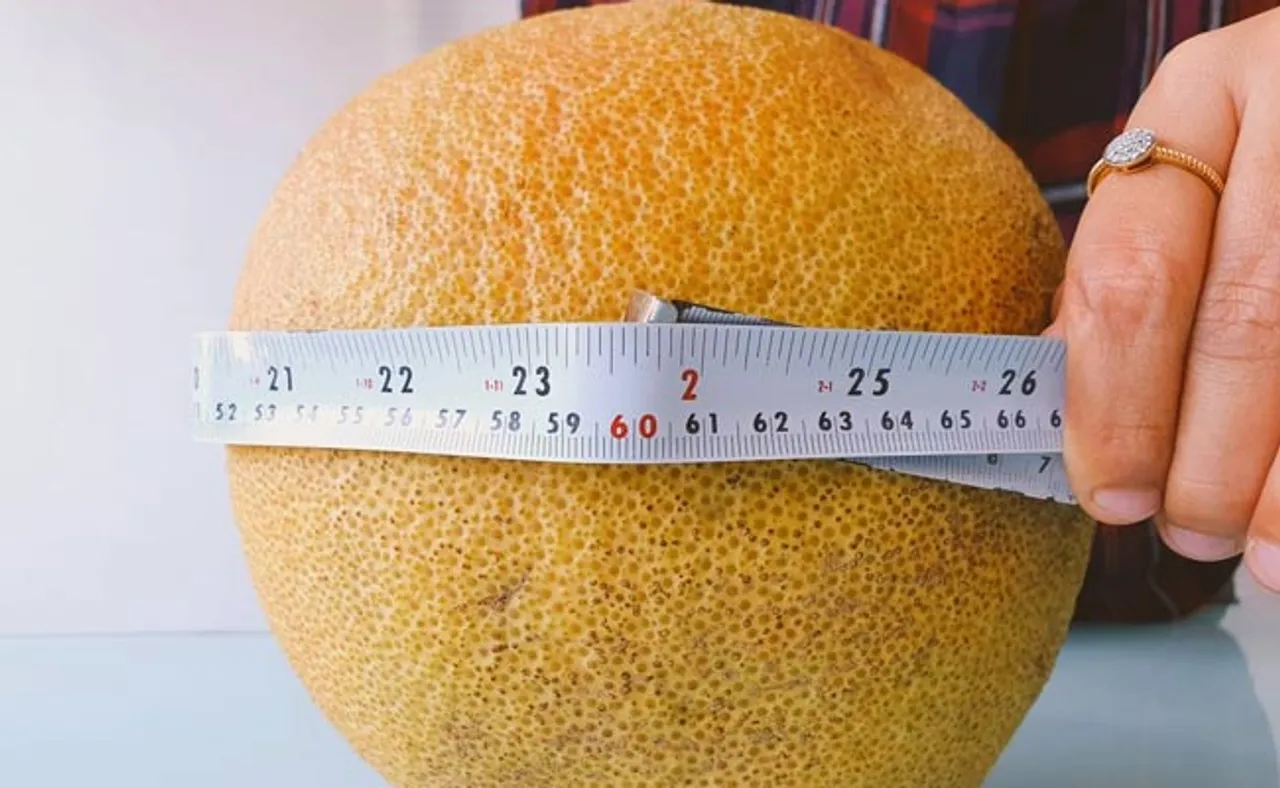 ବିରଳ କମଳା, ଆକାର ଜାଣିଲେ ଉଡ଼ିଯିବ ହୋସ୍!