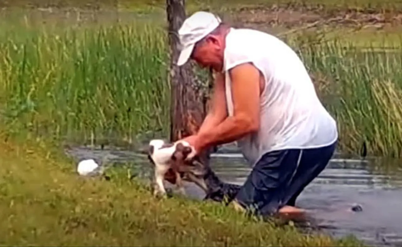 କୁମ୍ଭୀର ମୁହଁରୁ ପୋଷା କୁକୁରକୁ ଛଡ଼ାଇ ଆଣିଲା ମାଲିକ