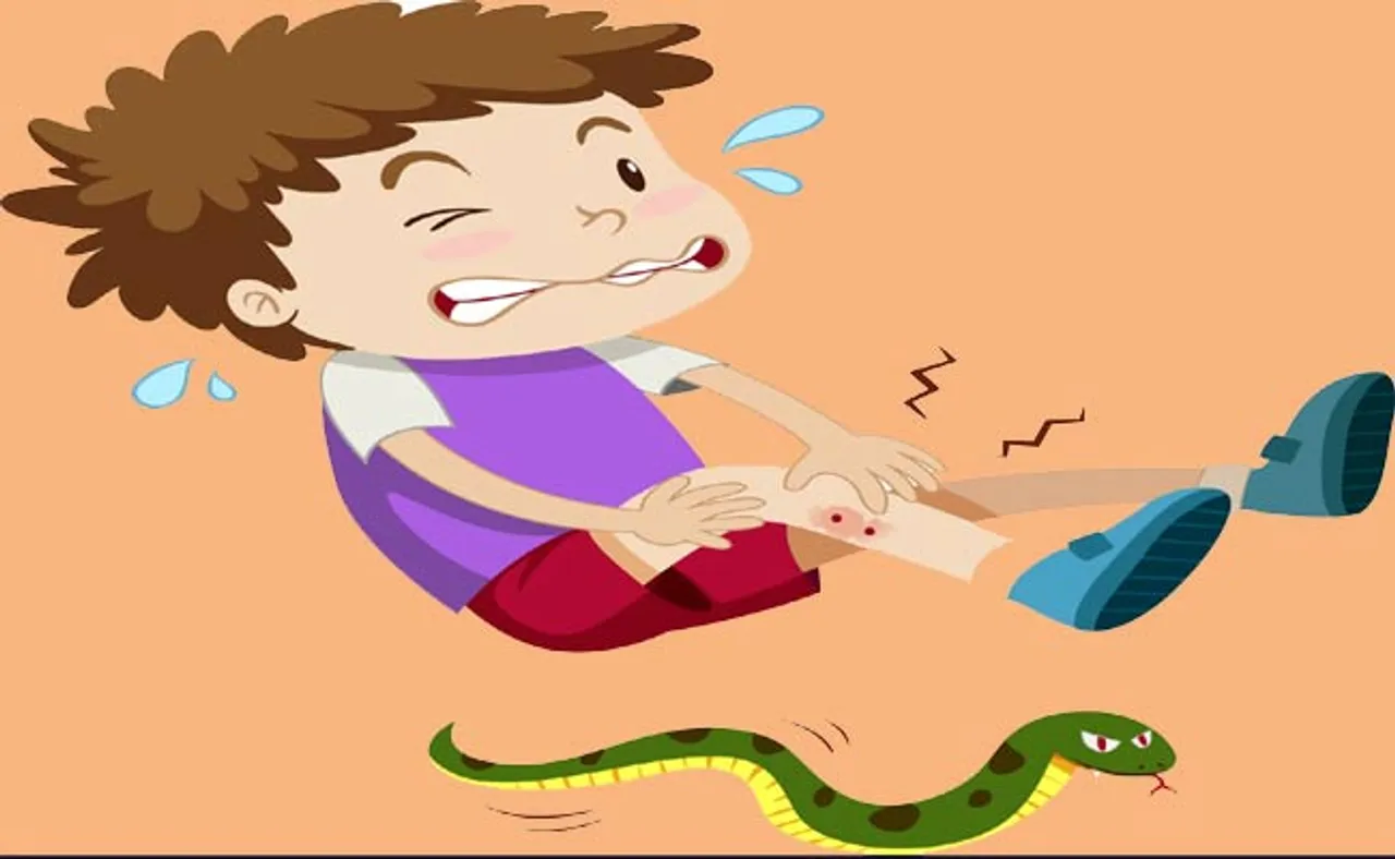 ସାପ କାମୁଡ଼ା ଖାଇଲା ପପୁ