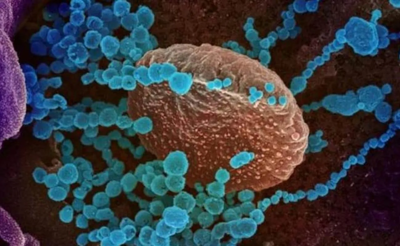 ୧୧ ଜିଲ୍ଲାରୁ କରୋନା ନେଲା ୨୮ ଜୀବନ