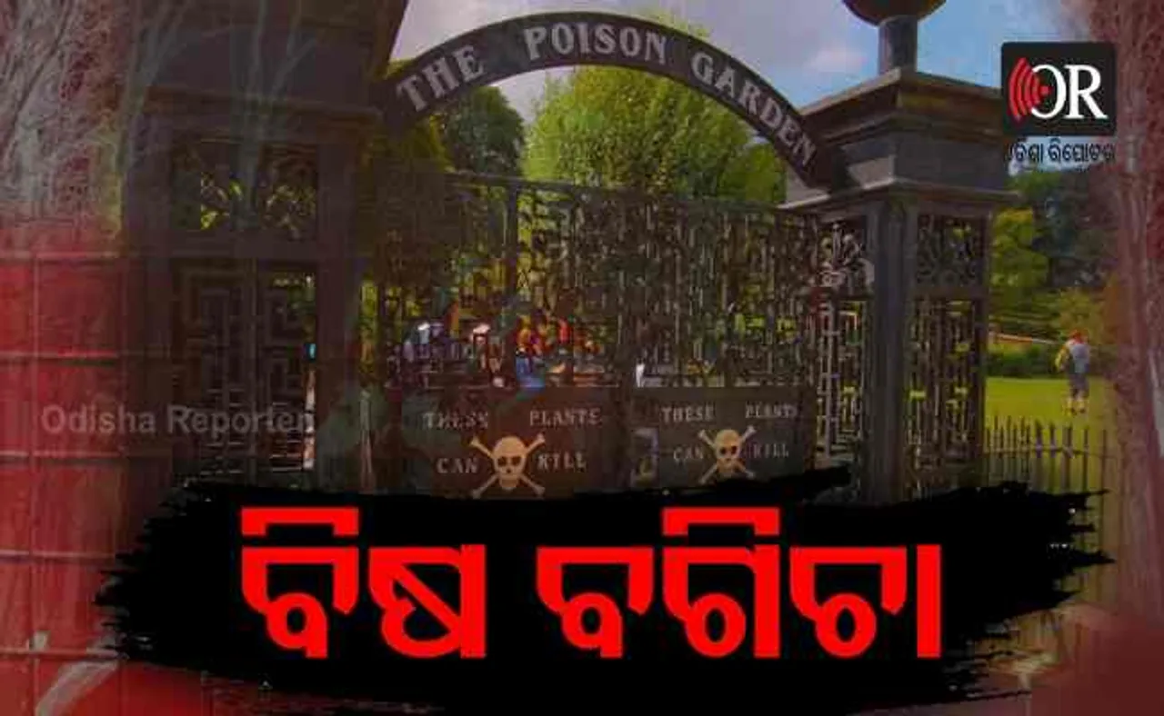 ବିଷ ବଗିଚା