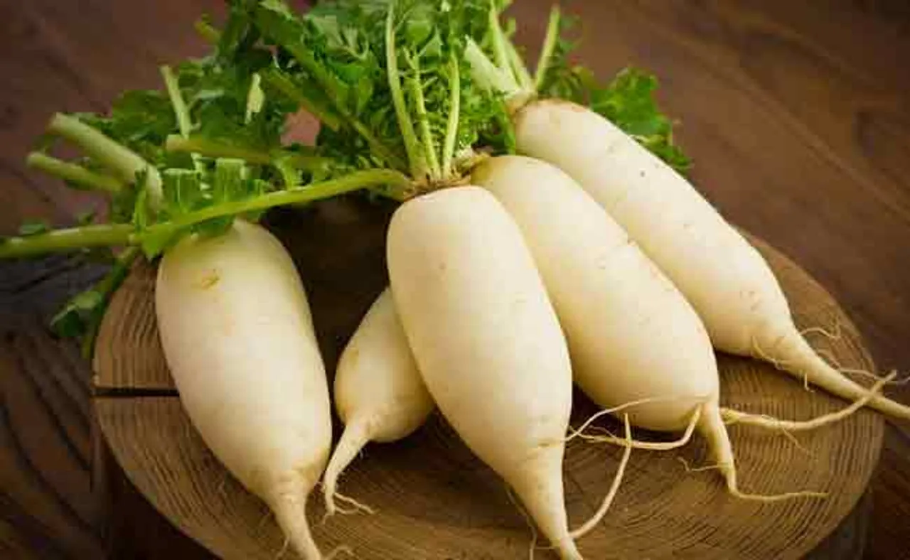 ଶୀତ ଦିନେ ଖା’ନ୍ତୁ ମୂଳା, ମିଳିବ ଏହି ସବୁ ଫାଇଦା