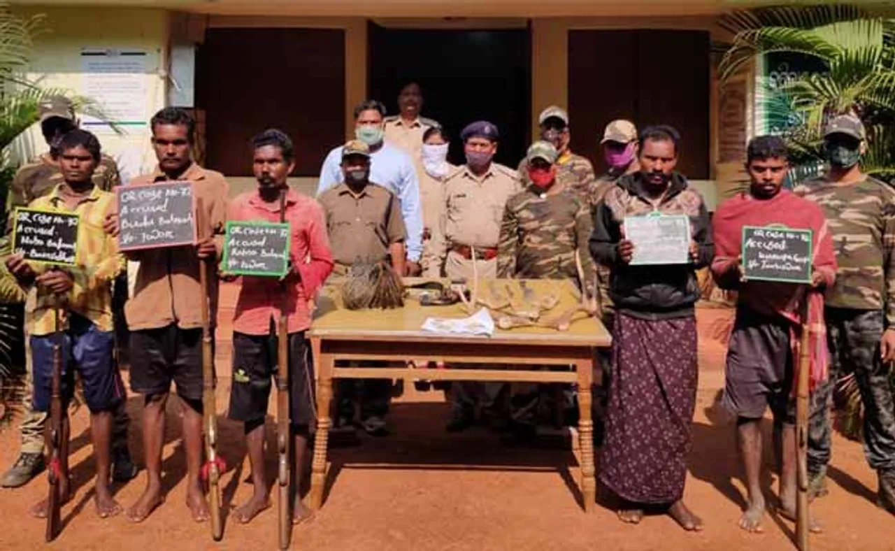 ହରିଣ ଛାଲ, ବଜ୍ରକାପ୍ତା କାତି ସହ ଧରାପଡିଲେ ୫ ଶିକାରୀ