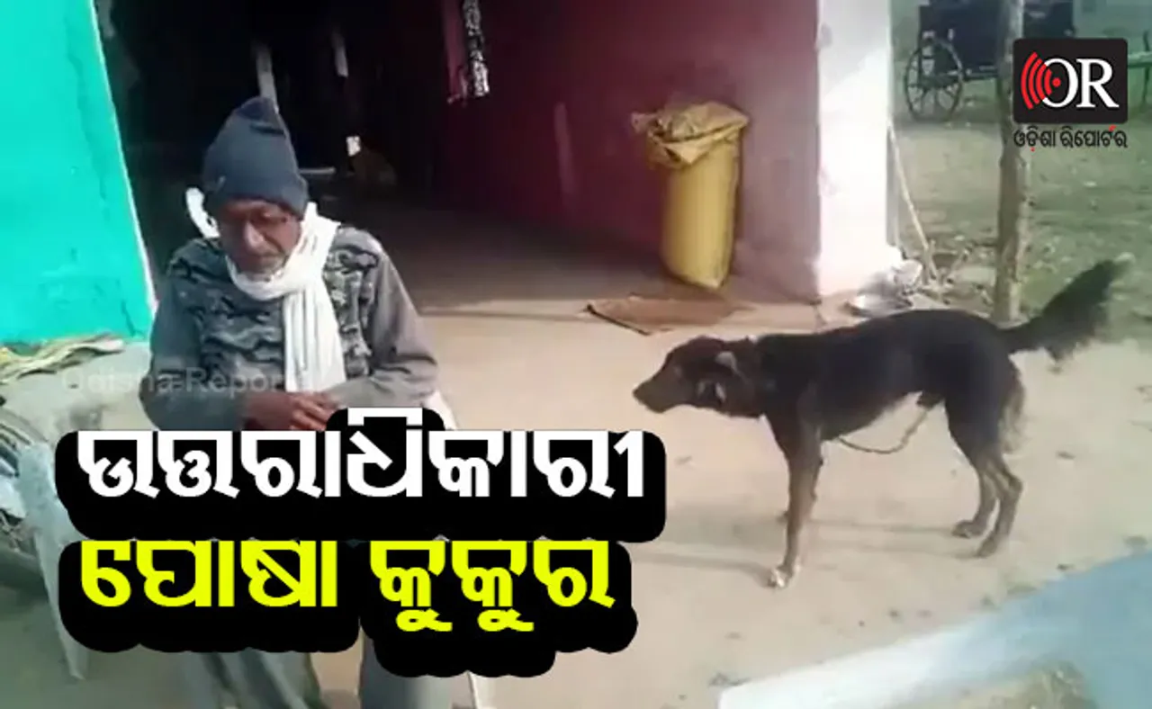 ଆଶ୍ଚର୍ଯ୍ୟ! ପୋଷା କୁକୁର ନାଁରେ କରିଦେଲେ ଅଧା ସମ୍ପତ୍ତି, ଜାଣନ୍ତୁ ପୁରା ମାମଲା