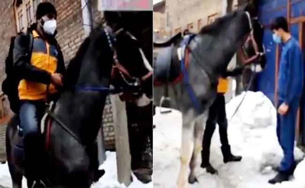 ଘୋଡ଼ା ଚଢ଼ି ଆସିଲେ, ପାର୍ସଲ ବାଣ୍ଟିଲେ