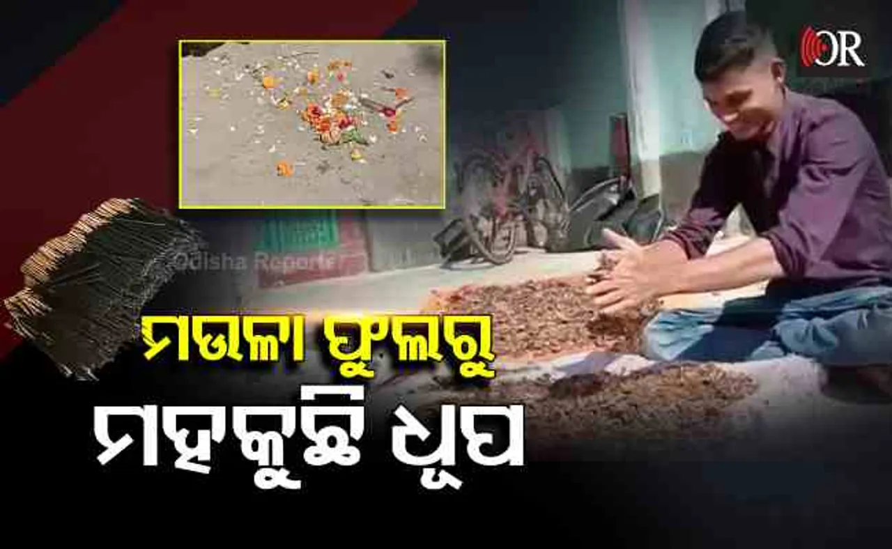 ମଉଳା ଫୁଲରୁ ମହକୁଛି ଧୂପ