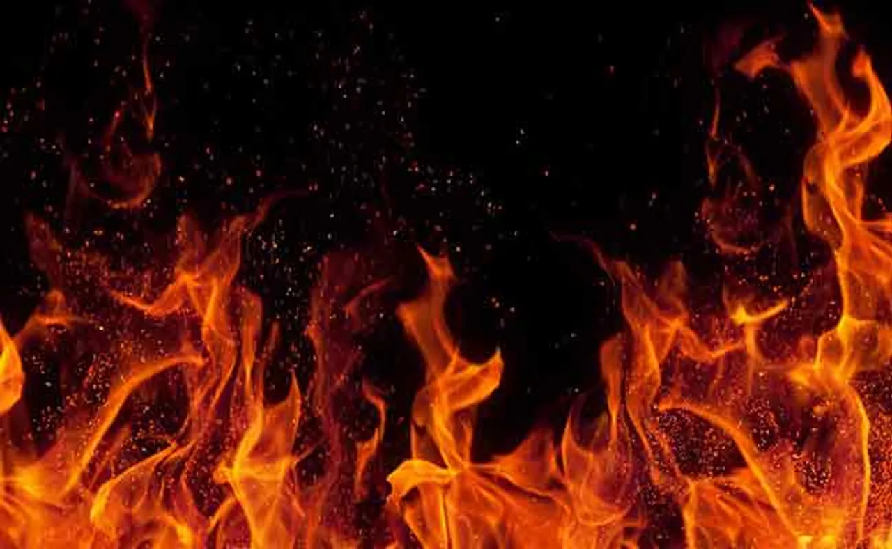 ବଟାନିକାଲ୍ ଗାର୍ଡେନରେ ଲାଗିଲା ନିଆଁ