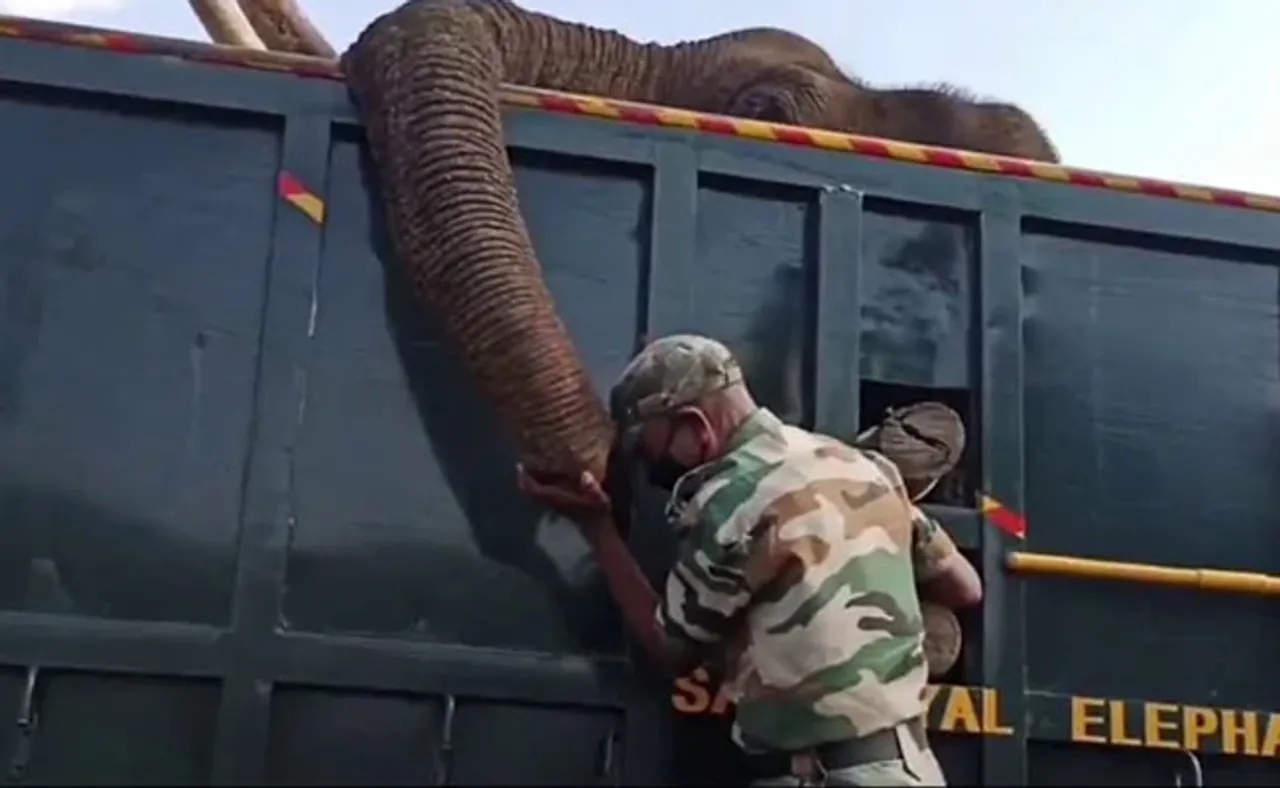 କାନ୍ଦି କାନ୍ଦି ମୃତ ହାତୀକୁ ବିଦାୟ ଦେଲେ ଫରେଷ୍ଟ ରେଞ୍ଜର୍, ଦେଖନ୍ତୁ ଭିଡିଓ