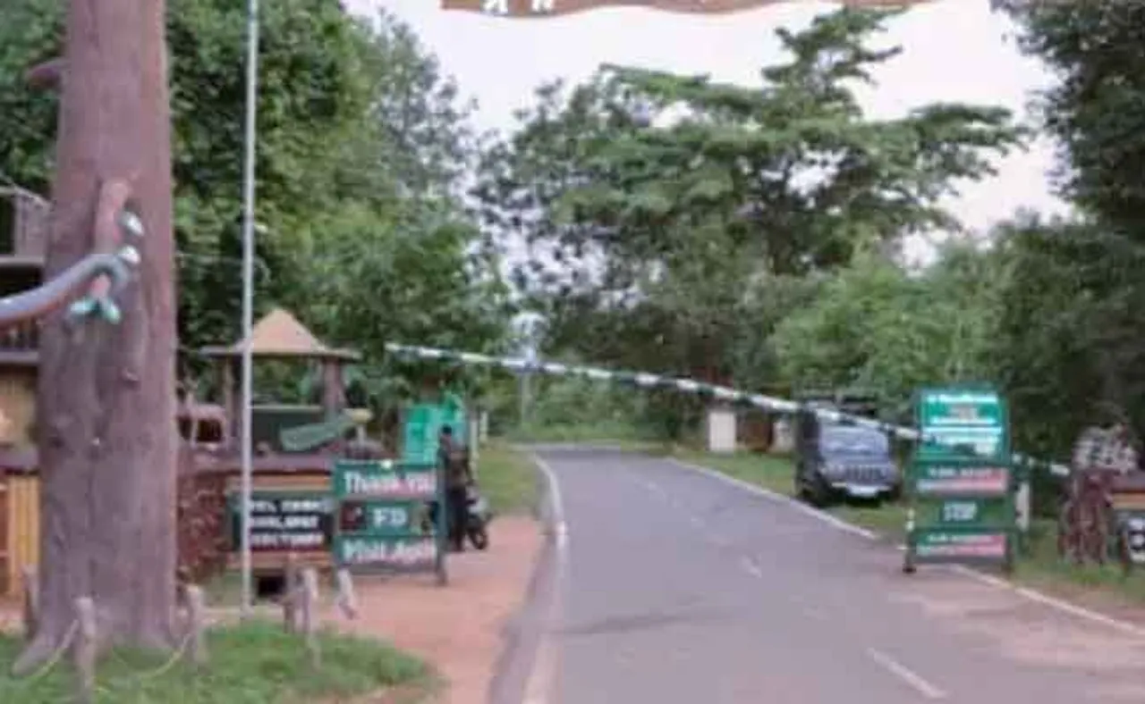 କର୍ଲାପାଟରେ ୧୨ ଦିନରେ ଗଲାଣି ୪ ହାତୀଙ୍କ ଜୀବନ, କାରଣ ଖୋଜୁଛି ବିଶେଷଜ୍ଞ ଟିମ୍