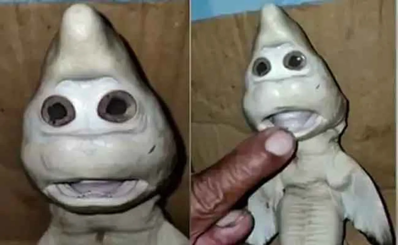 ଧରା ପଡ଼ିଲା ମଣିଷ ଭଳି ଦେଖା ଯାଉଥିବା ଶାର୍କ, ଲୋକେ ଆଚମ୍ବିତ