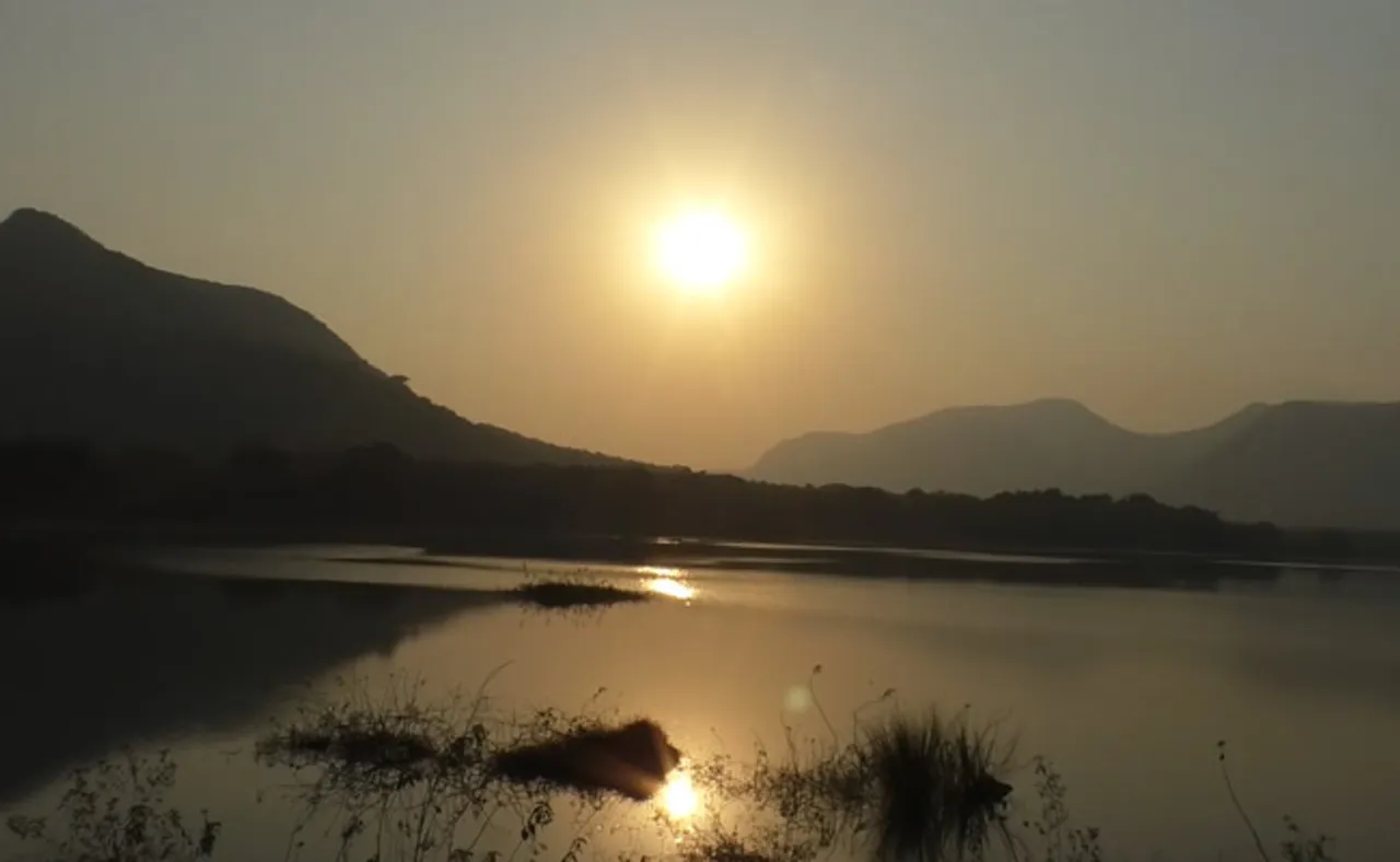 ସୁନେଲୀ କିରଣରେ ଝଲସୁଛି ସୁନାମୁହିଁ