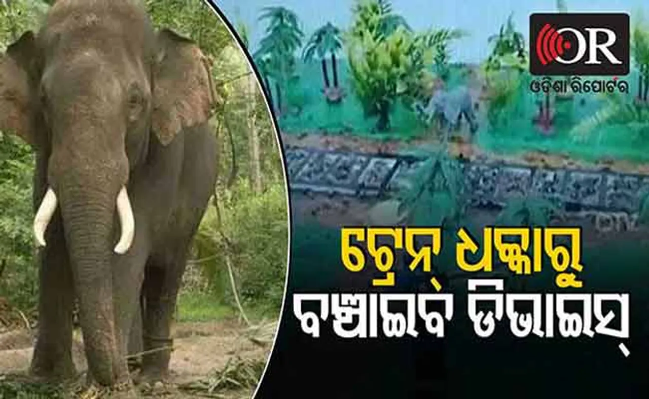 ଦୁର୍ଘଟଣା ରୋକିବ ଡିଭାଇସ୍‌;  ହାତୀଙ୍କ ପାଇଁ ଆଉ ଯମ ସାଜିବନି ଟ୍ରେନ