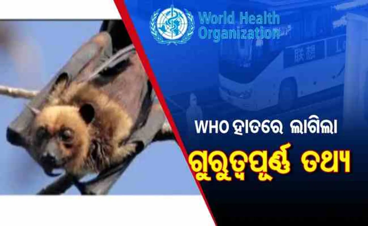 WHO ହାତରେ ଲାଗିଲା ଗୁରୁତ୍ୱପୂର୍ଣ୍ଣ ତଥ୍ୟ