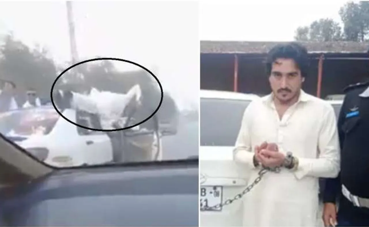 ଚଳନ୍ତା କାର୍ ଉପରେ ଚଢ଼ି ଷ୍ଟଣ୍ଟ ଦେଖାଉଥିଲେ, ପଛରୁ ଧରିଲା ପୁଲିସ