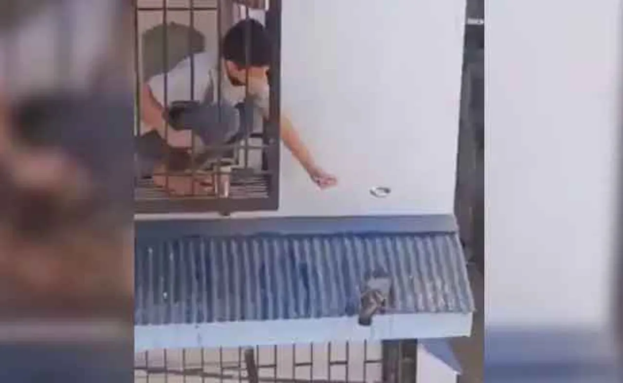 କଅଁଳ ବୟସର ନରମ ହୃଦୟ: ଭାଇରାଲ ହେଉଛି ଭିଡିଓ