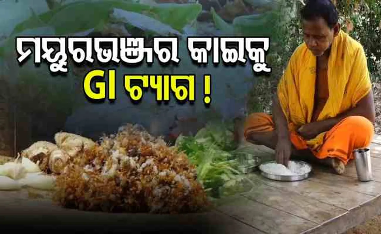 ମୟୁରଭଞ୍ଜର କାଇକୁ GI ଟ୍ୟାଗ !